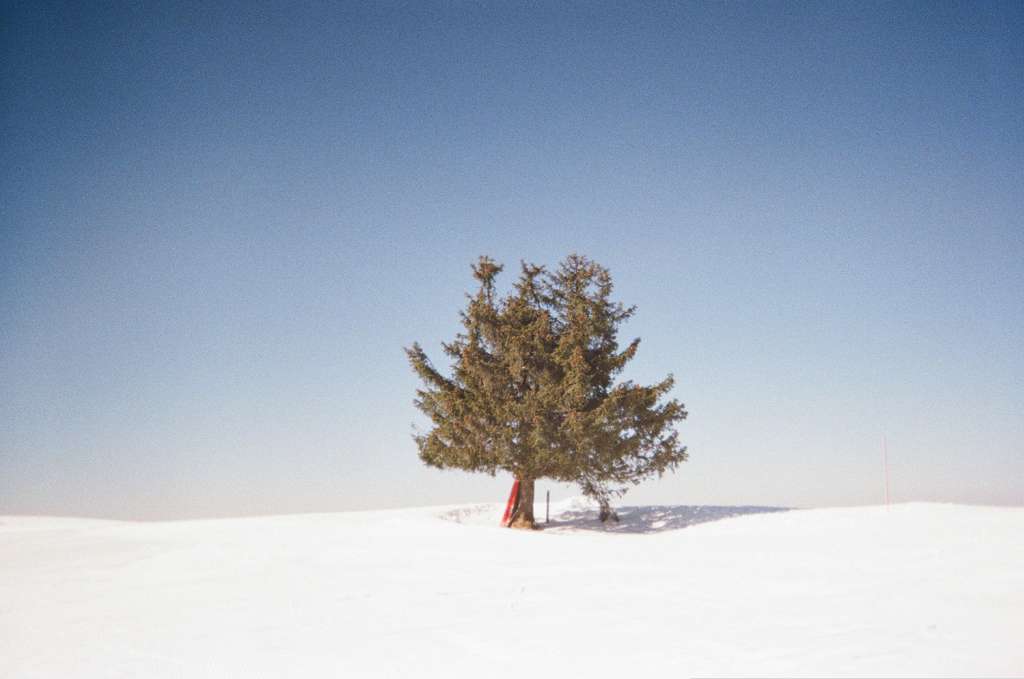 Sélection spéciale HIVER